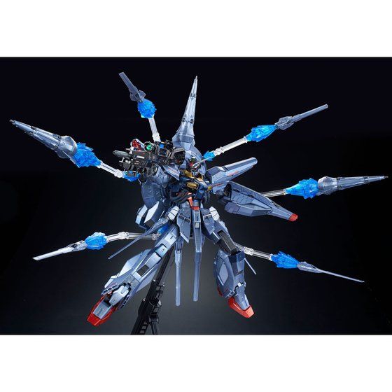 MG 1/100 プロヴィデンスガンダム [スペシャルコーティング]│株式