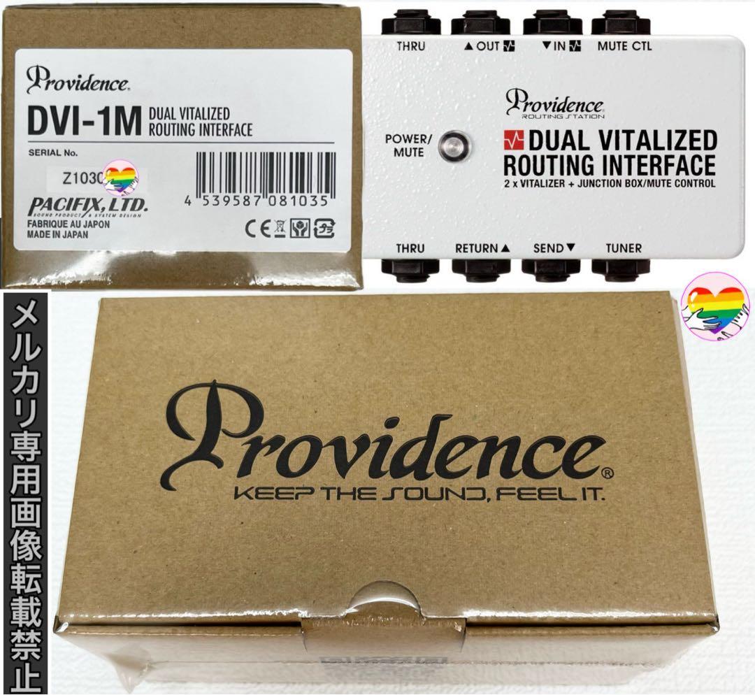【完全未開封】PROVIDENCE DUAL VITALIZED DVI-1M Providence DUAL VITALIZED ROUTING INTERFACE DVI-1M 【理想の