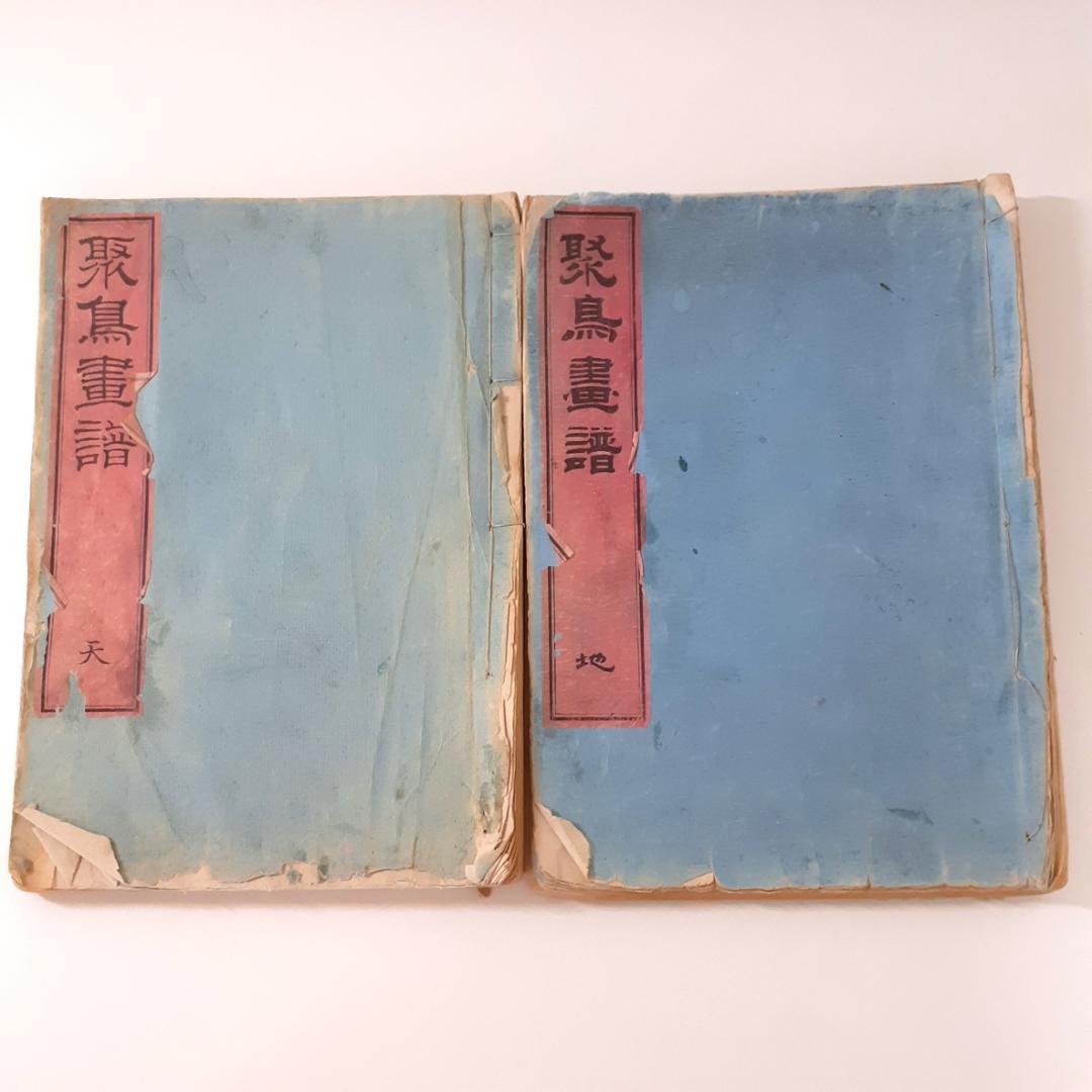 花鳥画譜　天・地　沼田荷舟　【書込みあり】 幸野楳嶺の花鳥画譜 | NDLイメージバンク | 電子展示会