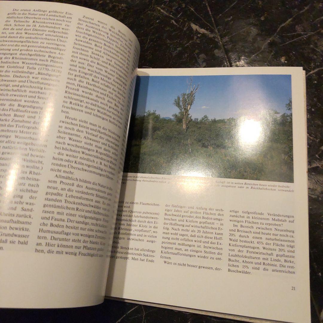 Kleinod Markgräflerland ドイツ語 洋書 風景 写真集