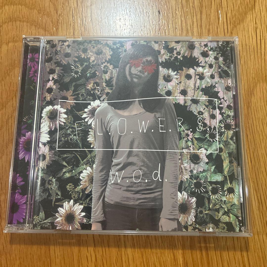 【w.o.d.】 F.L.O.W.E.R.S. Sola Flowers - Dazzle - set of 12 - 2.5 inches - Oh! You're Lovely