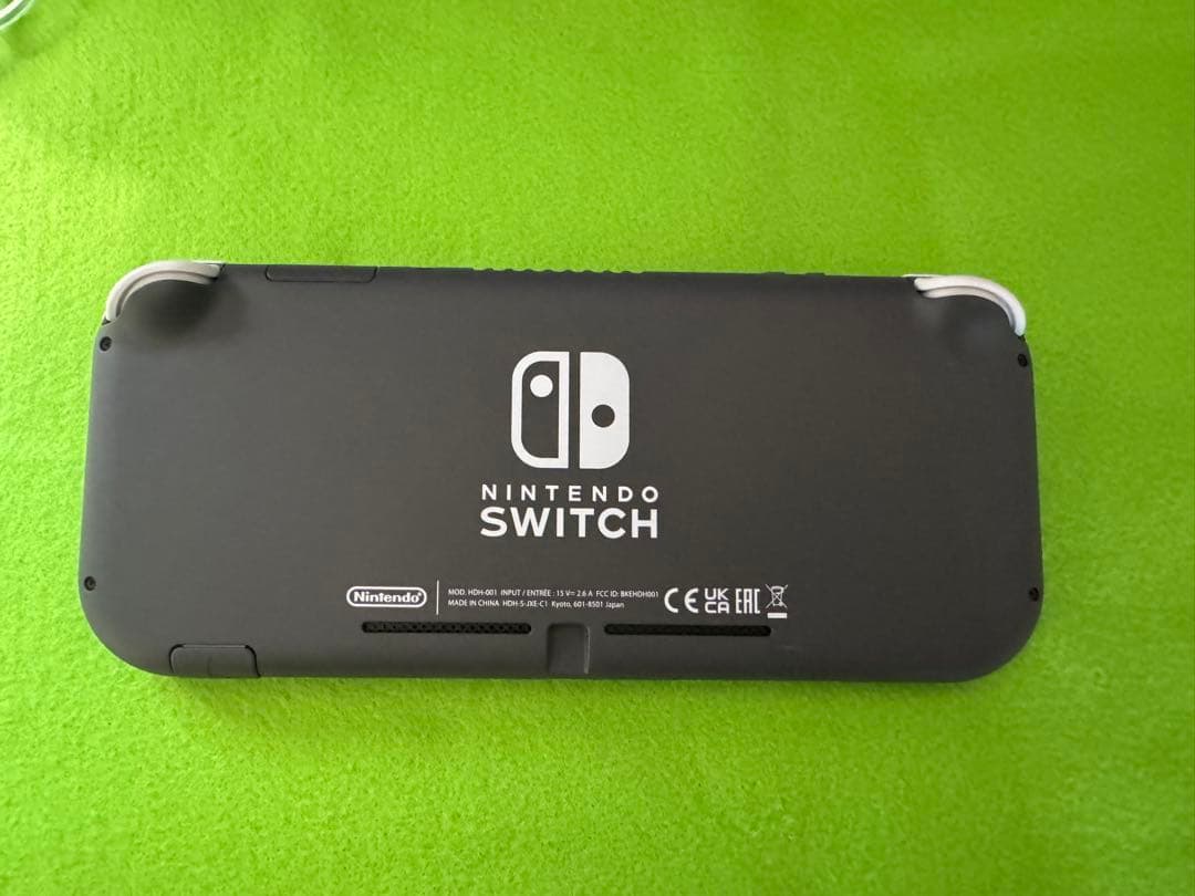 Nintendo Switch Lite グレー+ケース、台、マイクロSDカード Nintendo