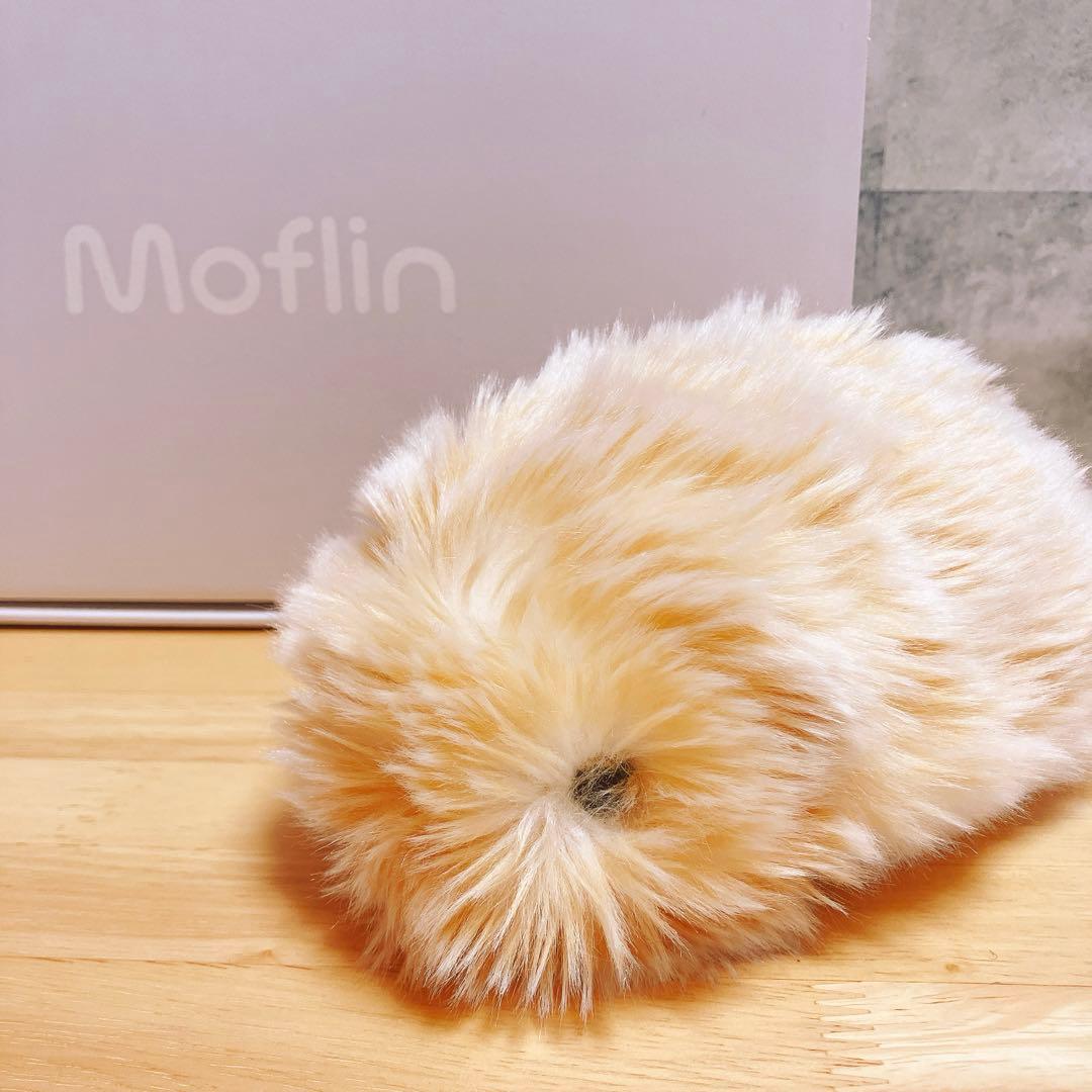 【うしうし】カシオMoflin(PE-M10)ゴールド Moflin(ゴールド) | CASIO