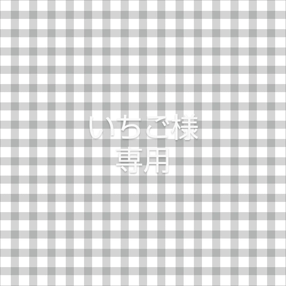 いちご 楽天市場】【ふるさと納税】おいしさを研究したいちご「 さちのか 」約